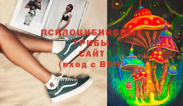 гидра Михайловск