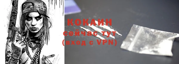 apvp Михайлов