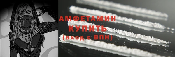 гидра Михайловск