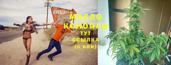 apvp Михайлов