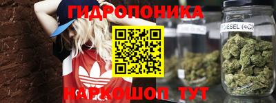 шишки Волжский