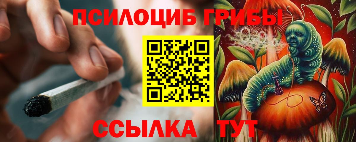 Галлюциногенные грибы GOLDEN TEACHER  Иваново  Псилоцибиновые грибы Psilocybine cubensis 