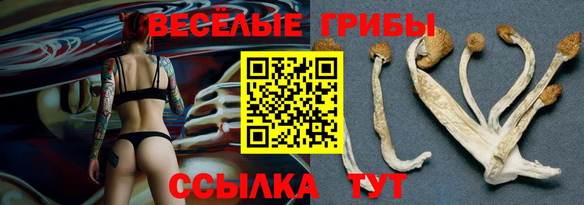 Галлюциногенные грибы мухоморы Иваново