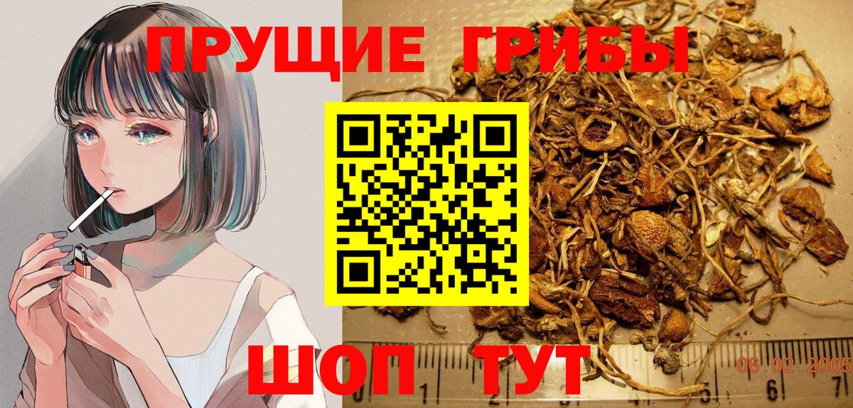 Иваново  Псилоцибиновые грибы Psilocybe  Вход с VPN 