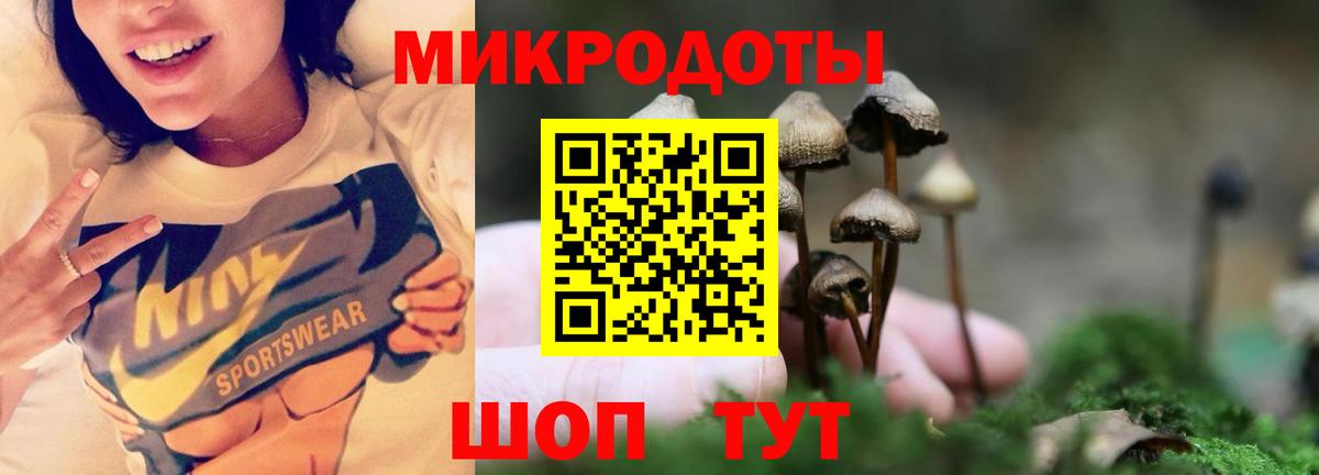 Псилоцибиновые грибы мицелий Иваново