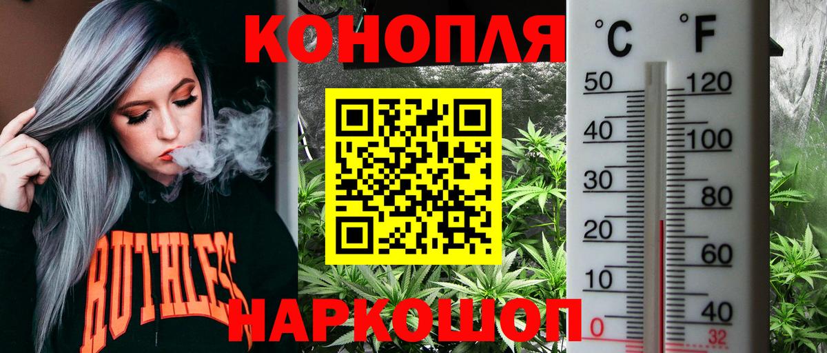 Шишки марихуана тримм  Иваново  Бошки Шишки Amnesia 